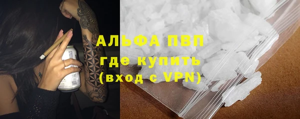 ПСИЛОЦИБИНОВЫЕ ГРИБЫ Надым