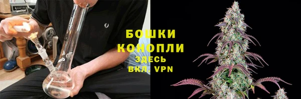 ПСИЛОЦИБИНОВЫЕ ГРИБЫ Надым