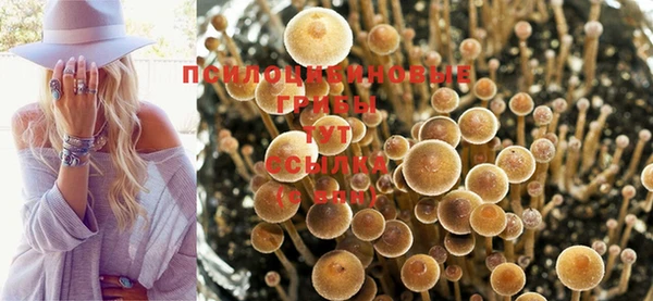 первитин Навашино