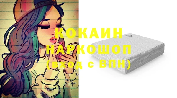 ПСИЛОЦИБИНОВЫЕ ГРИБЫ Алагир