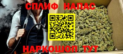 прущие грибы Ставрополь