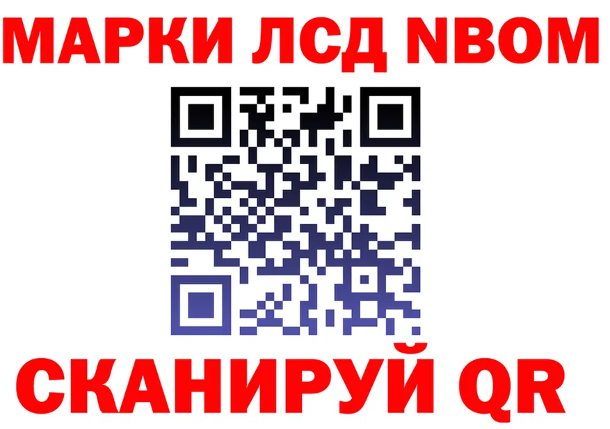 Альфа ПВП СК вход дарк нет гидра Отрадное