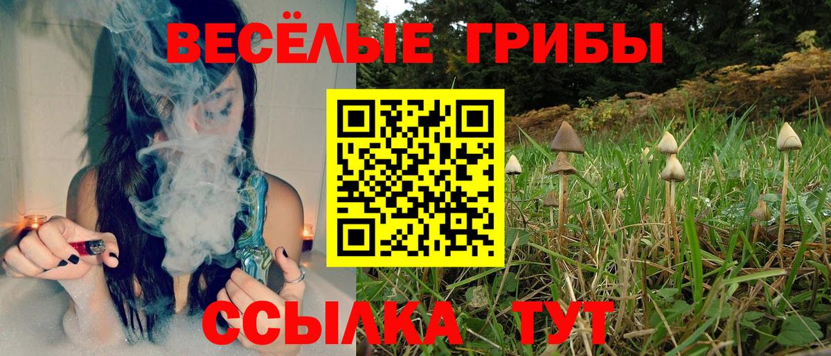 Амфетамин Отрадное