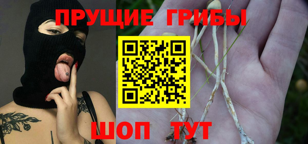 Псилоцибиновые грибы MAGIC MUSHROOMS Отрадное