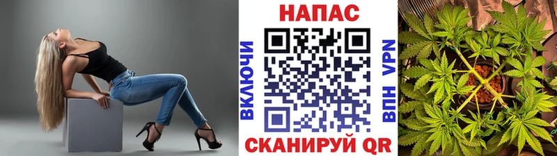 купить   Отрадное  Конопля марихуана 